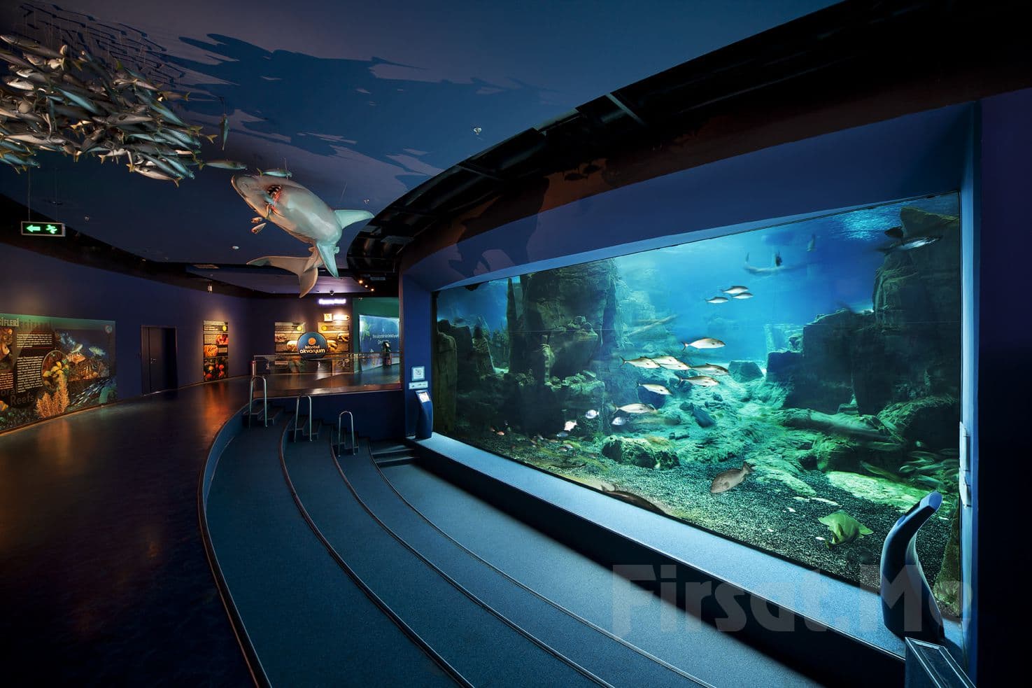 Visitors inside the Istanbul Aquarium tunnel